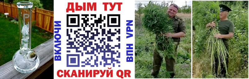 Купить закладку Наволоки Марихуана  OMG онион  Меф мяу мяу  LSD-25  Alpha-PVP  Cocaine  ГЕРОИН  Галлюциногенные грибы 