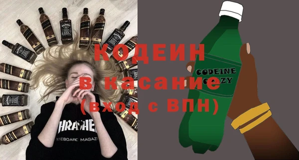 индика Абаза