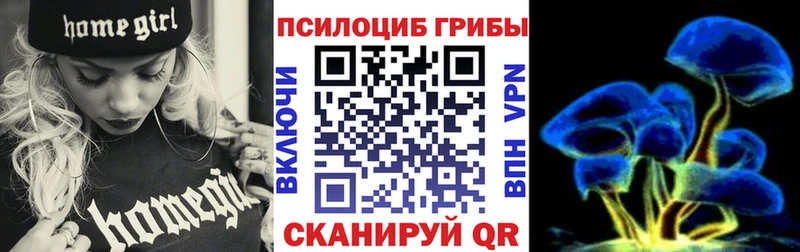 Псилоцибиновые грибы мицелий  Наволоки 
