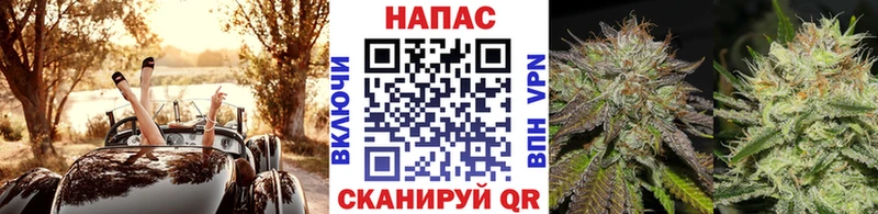 Марихуана планчик  дарнет шоп  Наволоки 